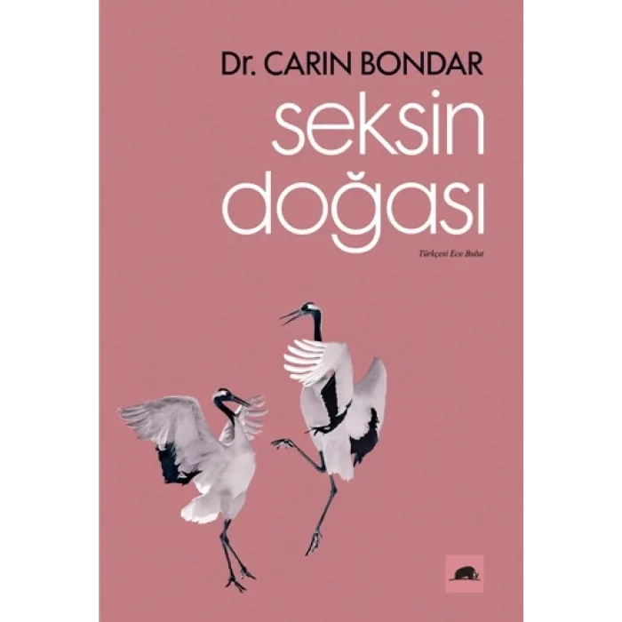 Seksin Doğası
