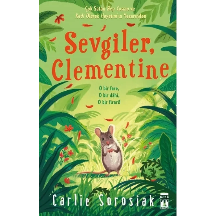 Sevgiler Clementine