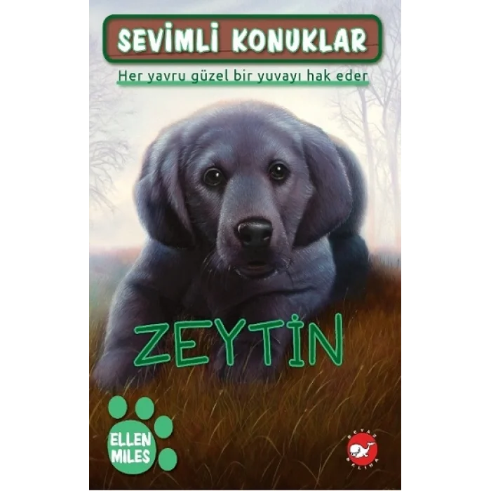 Sevimli Konuklar-3 Zeytin