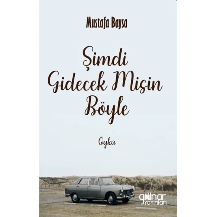 Şimdi Gidecek Misin Böyle