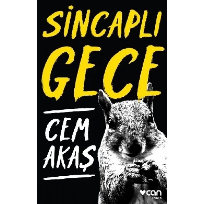 Sincaplı Gece