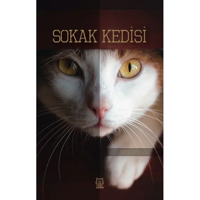 Sokak Kedisi