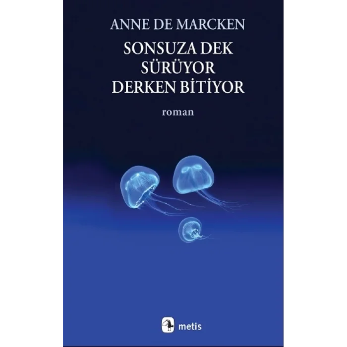 Sonsuza Dek Sürüyor, Derken Bitiyor