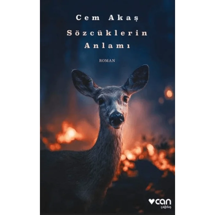 Sözcüklerin Anlamı