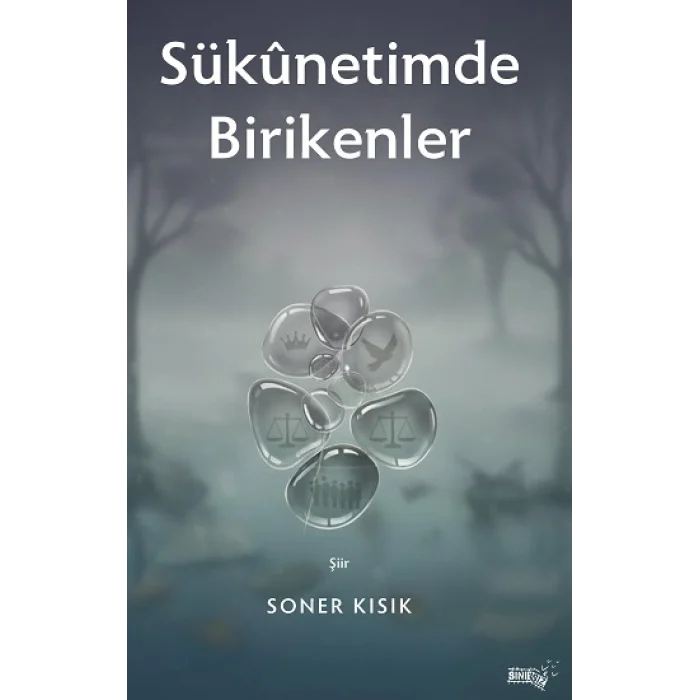 Sukunetimde Birikenler