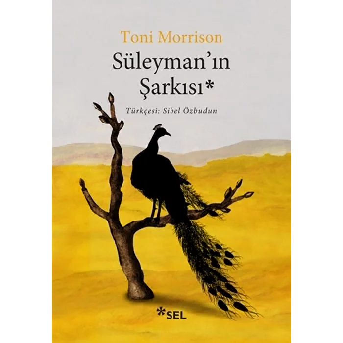 Süleymanın Şarkısı