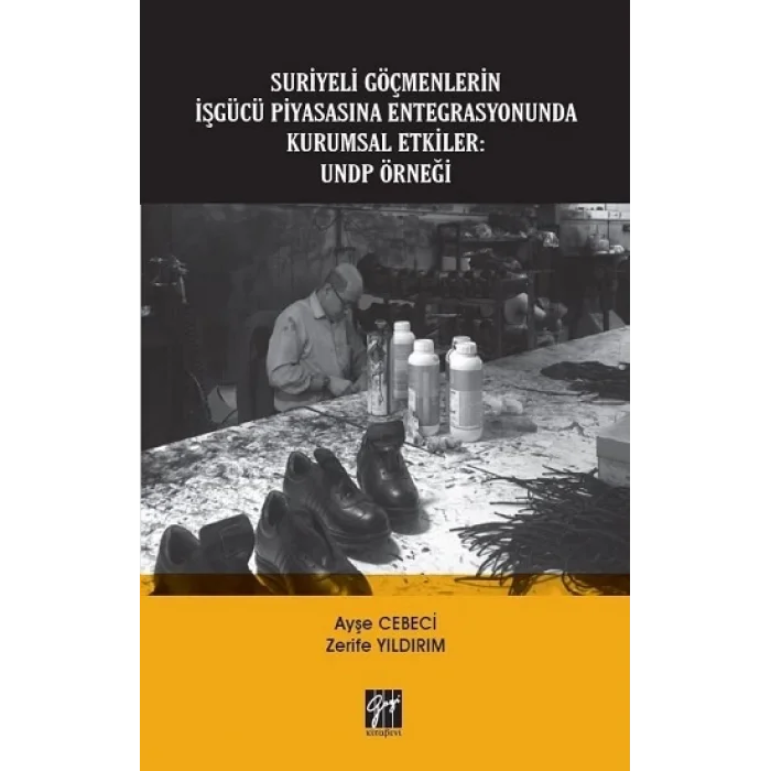 Suriyeli Göçmenlerin İşgücü Piyasasına Entegrasyonunda Kurumsal Etkiler - UNDP Örneği