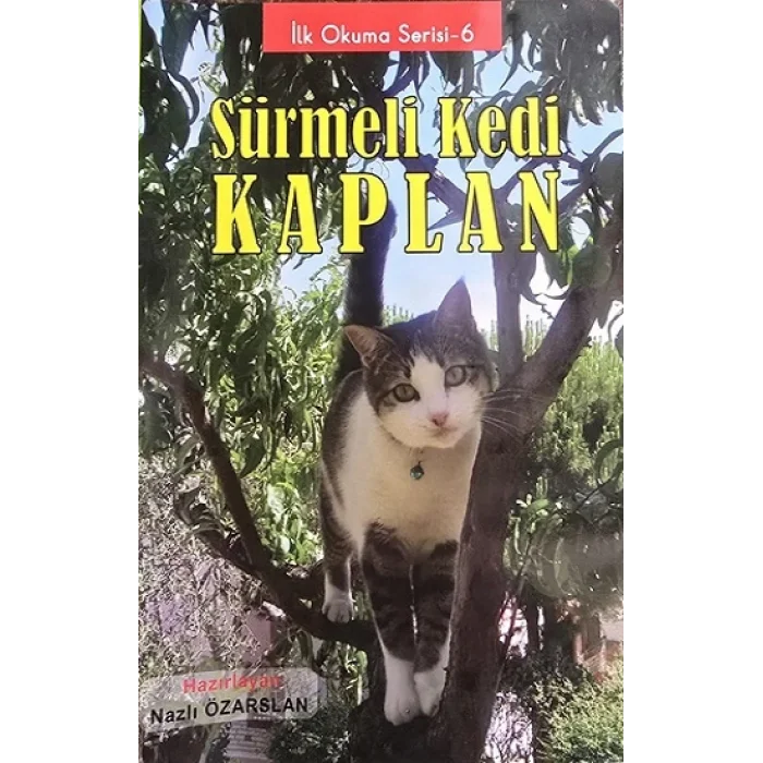 Sürmeli Kedi Kaplan