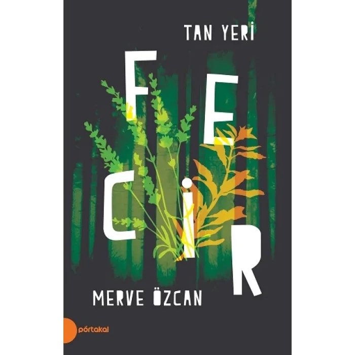 Tan Yeri II - Fecir