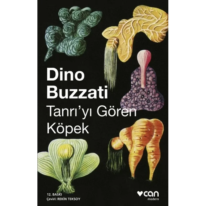 Tanrıyı Gören Köpek