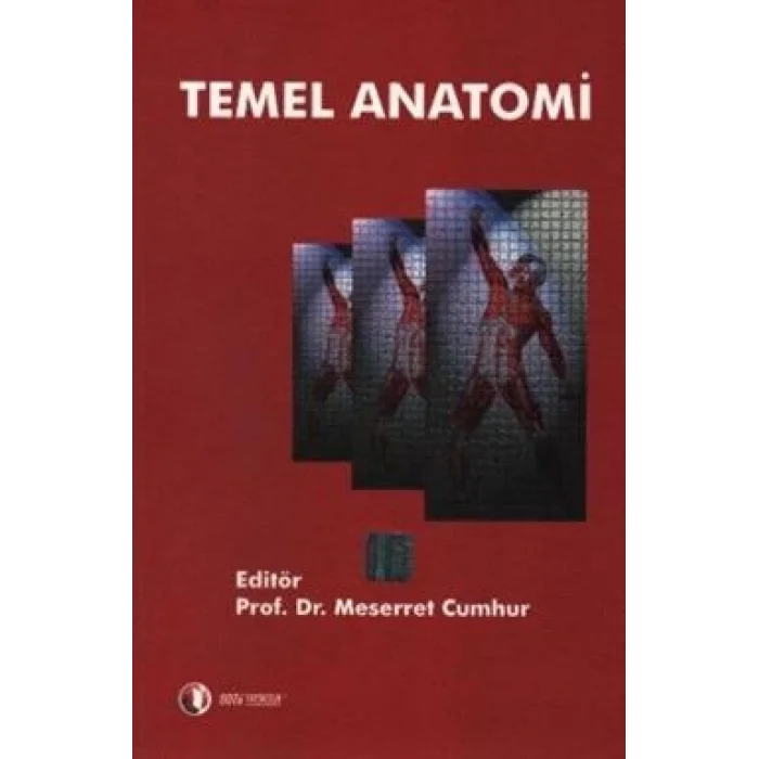 Temel Anatomi