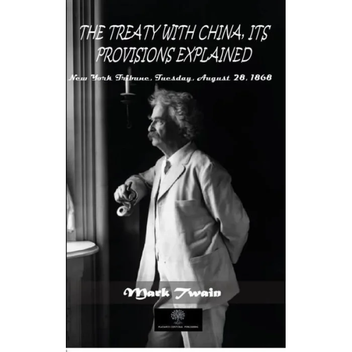 The Treaty With China its Provisions Explained