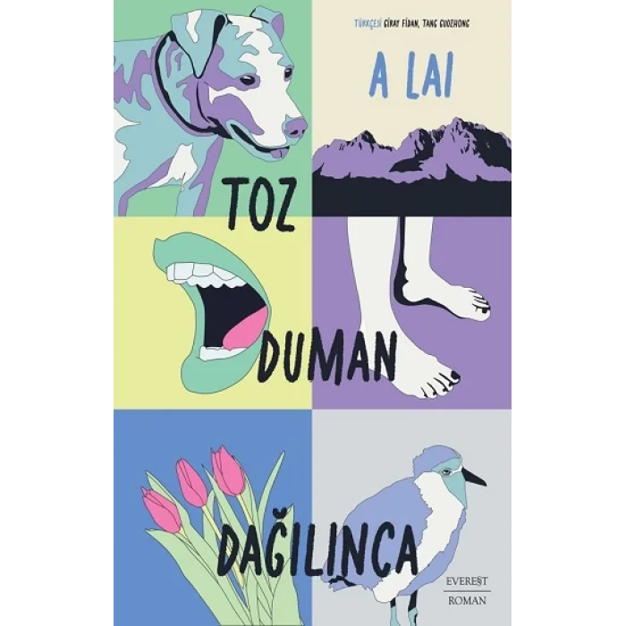 Toz Duman Dağılınca