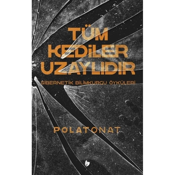 Tüm Kediler Uzaylıdır