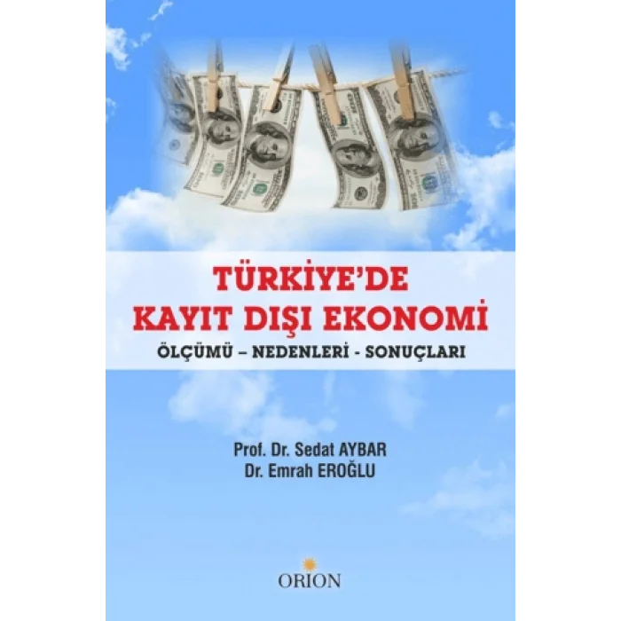 Türkiyede Kayıt Dışı Ekonomi