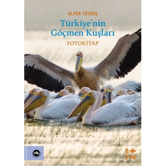 Türkiyenin Göçmen Kuşları