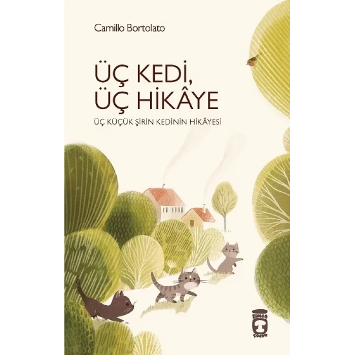 Üç Kedi, Üç Hikaye