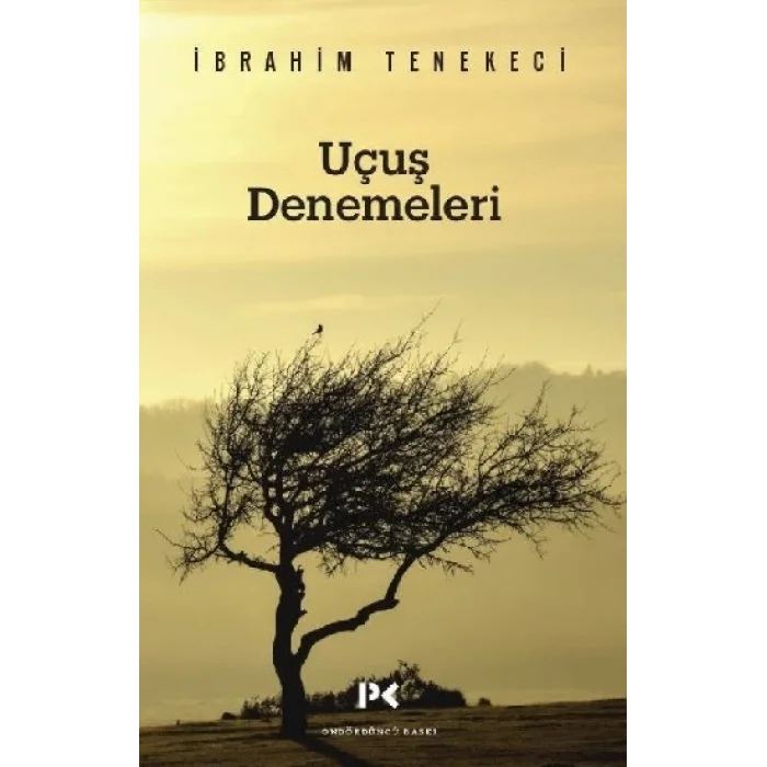 Uçuş Denemeleri