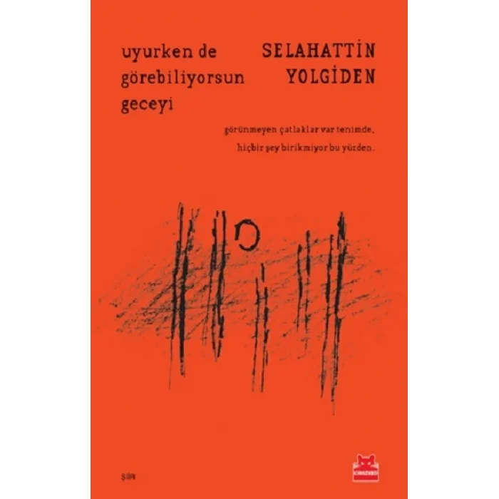 Uyurken de Görebiliyorsun Geceyi