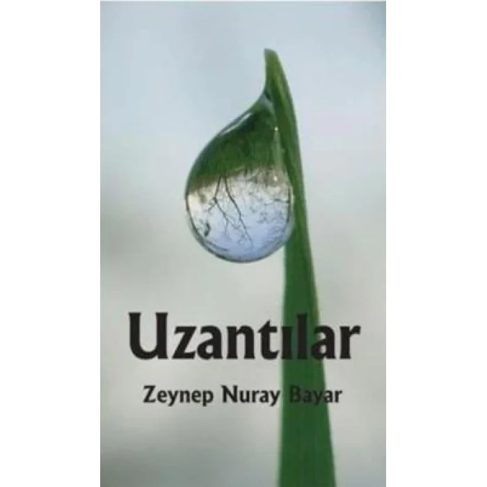 Uzantılar