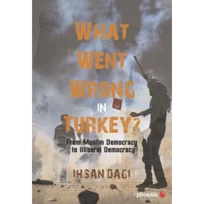 What Went Wrong in Turkey?