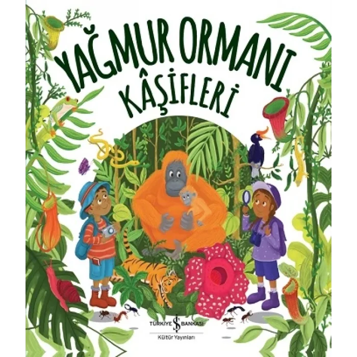 Yağmur Ormanı Kaşifleri
