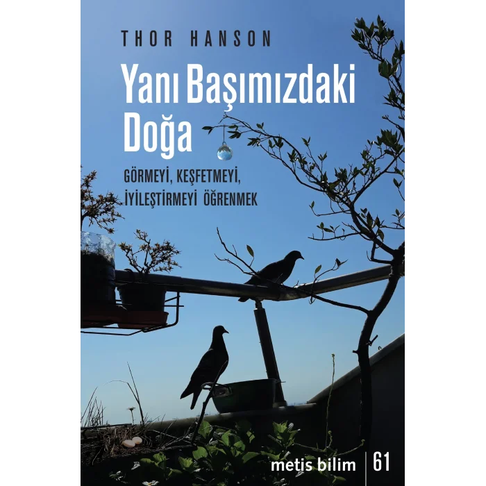 Yanı Başımızdaki Doğa