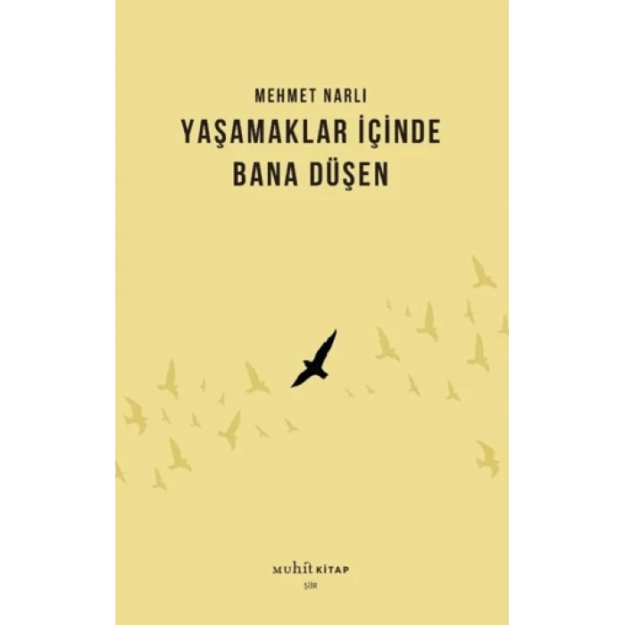 Yaşamaklar İçinde Bana Düşen
