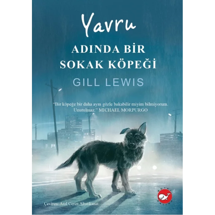 Yavru Adında Bir Sokak Köpeği