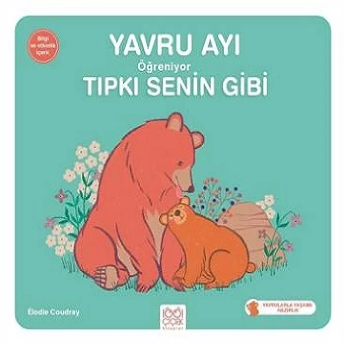 Yavru Ayı Öğreniyor Tıpkı Senin Gibi
