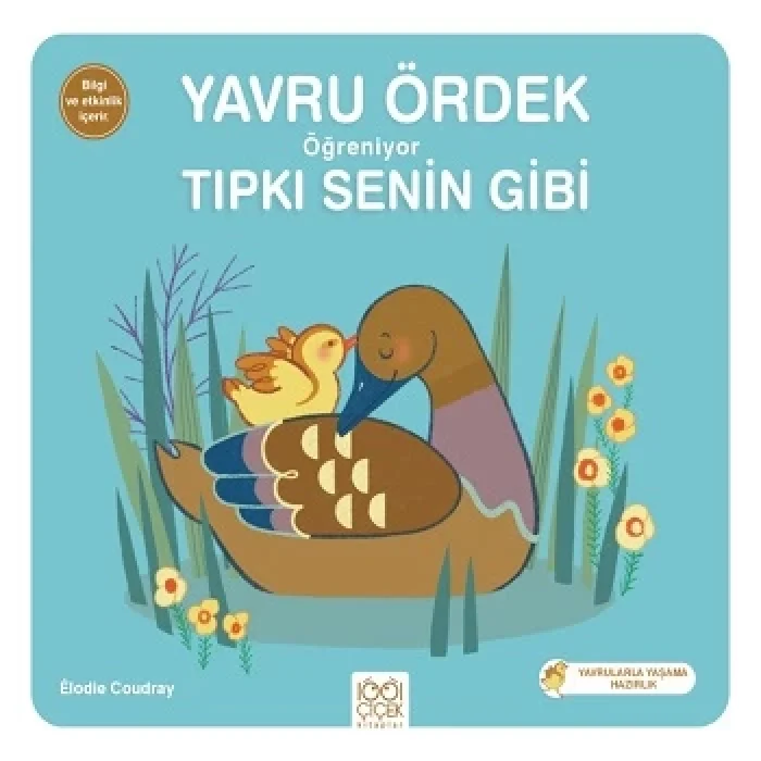 Yavru Ördek Öğreniyor Tıpkı Senin Gibi