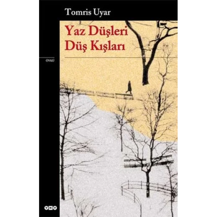 Yaz Düşleri Düş Kışları