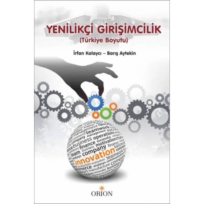 Yenilikçi Girişimcilik (Türkiye Boyutu)