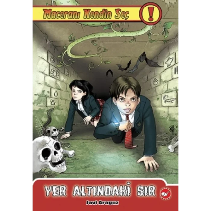 Yer Altındaki Sır - Maceranı Kendin Seç