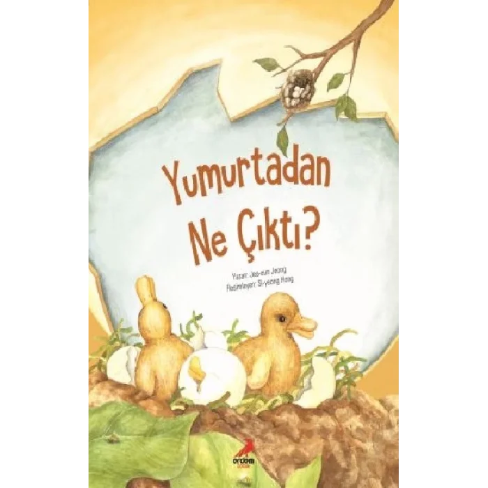 Yumurtadan Ne Çıktı?