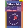 11-12 Yaş Dikkat - Zeka Bilişsel ve Düşünsel Beceriler 3. Kitap - 10 Dakikalık Testler