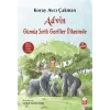 Advin Gümüş Sırtlı Goriller Ülkesinde