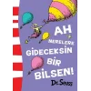 Ah Nerelere Gideceksin Bir Bilsen!