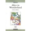 Alice in Wonderland  (Stage 1)
