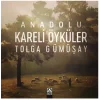 Anadolu Kareli Öyküler