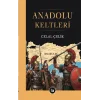 Anadolu Keltleri