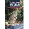 Ankaralı Mecnun