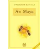 Arı Maya