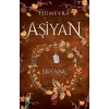 Aşiyan 2 -Divane (Ciltli)
