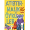 Atıştırmalık Öyküler