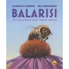 Balarısı