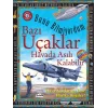 Bazı Uçaklar Havada Asılı Kalabilir - Bunu Bilmiyordum - Hava Araçlarına Dair Harika Bilgiler!