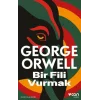 Bir Fili Vurmak