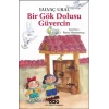 Bir Gök Dolusu Güvercin