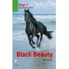 Black Beauty CDsiz (Stage 4)